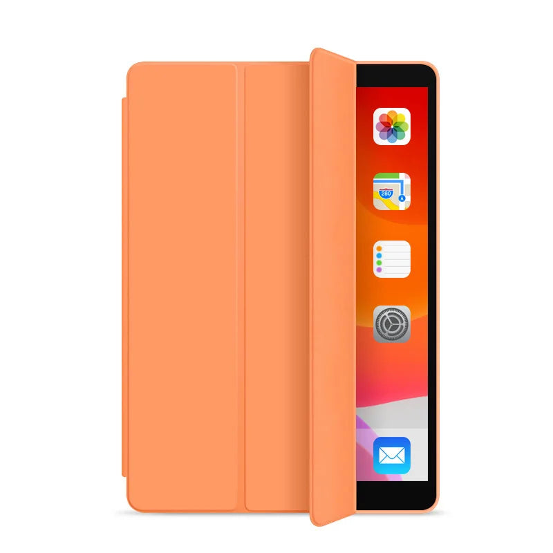 Wonderful iPad case with various lovely colors