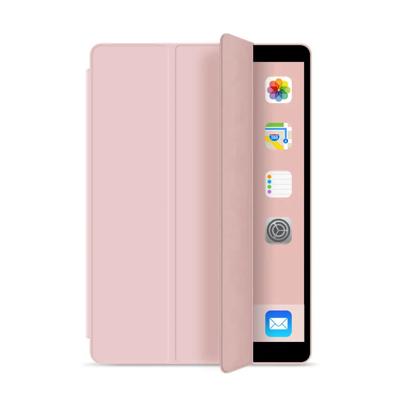 Wonderful iPad case with various lovely colors