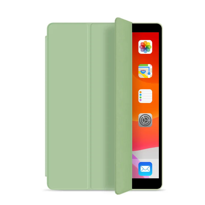 Wonderful iPad case with various lovely colors